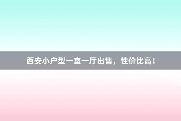 西安小户型一室一厅出售，性价比高！